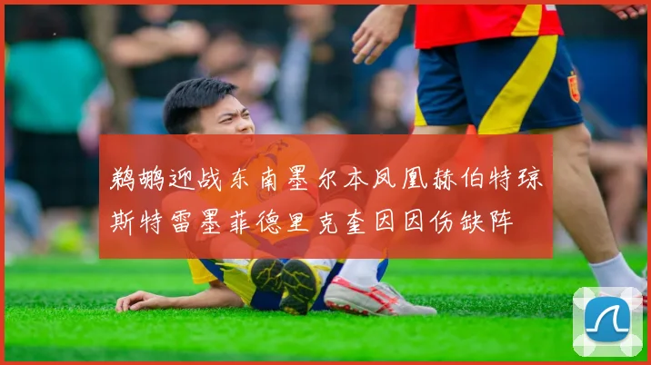 鹈鹕迎战东南墨尔本凤凰赫伯特琼斯特雷墨菲德里克奎因因伤缺阵