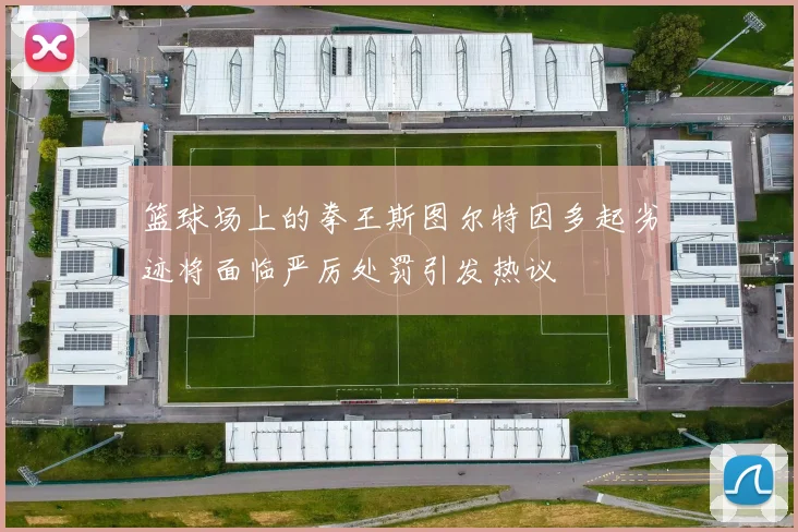 篮球场上的拳王斯图尔特因多起劣迹将面临严厉处罚引发热议