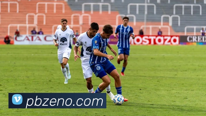 平博平台生态图